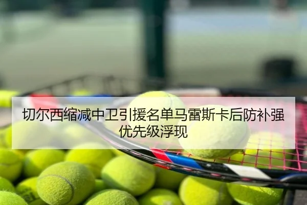 切尔西缩减中卫引援名单马雷斯卡后防补强优先级浮现