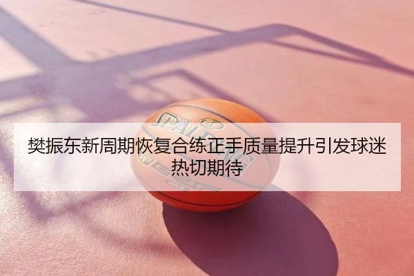 樊振东新周期恢复合练正手质量提升引发球迷热切期待